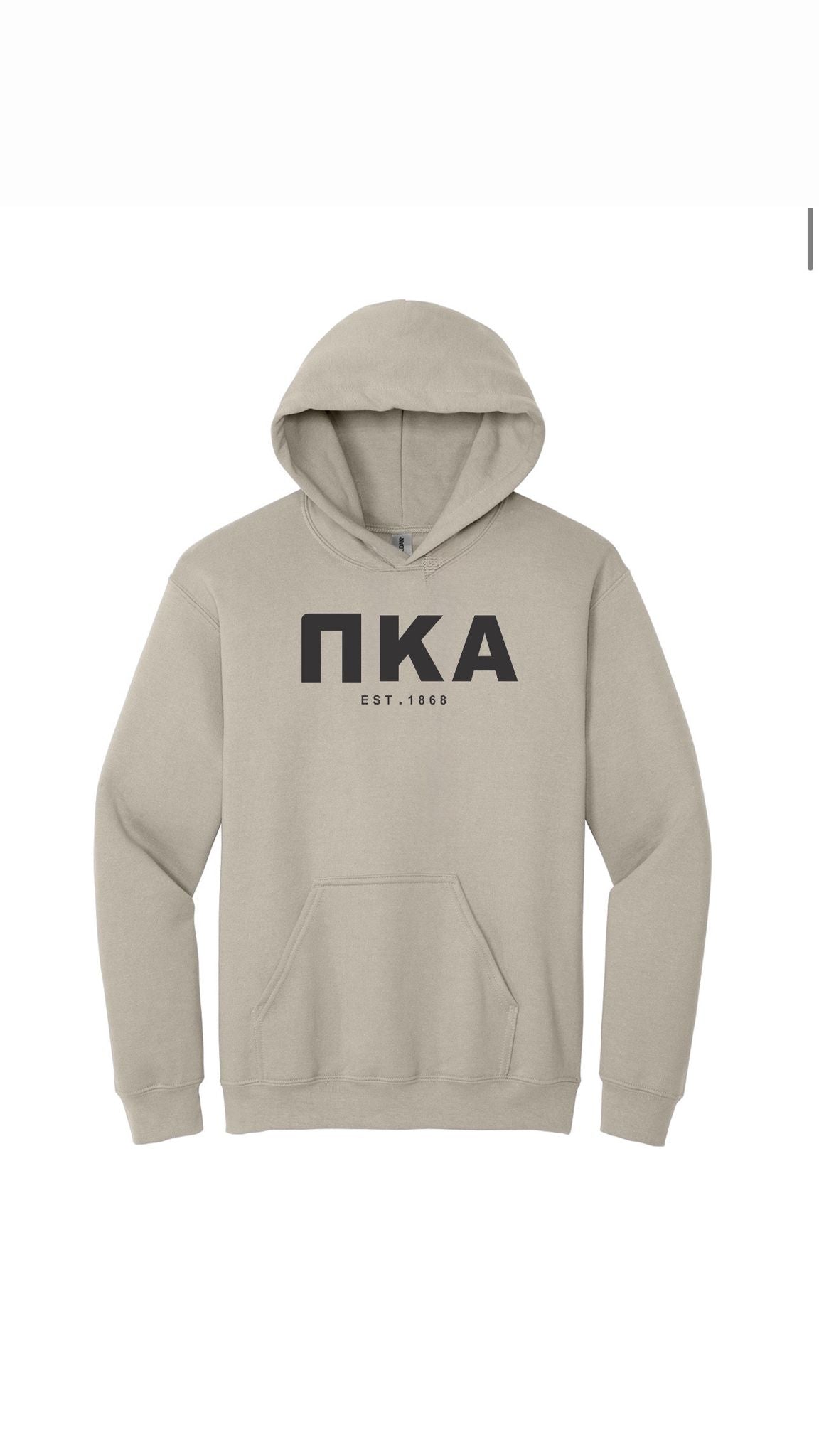 Hoodie Grey Logo