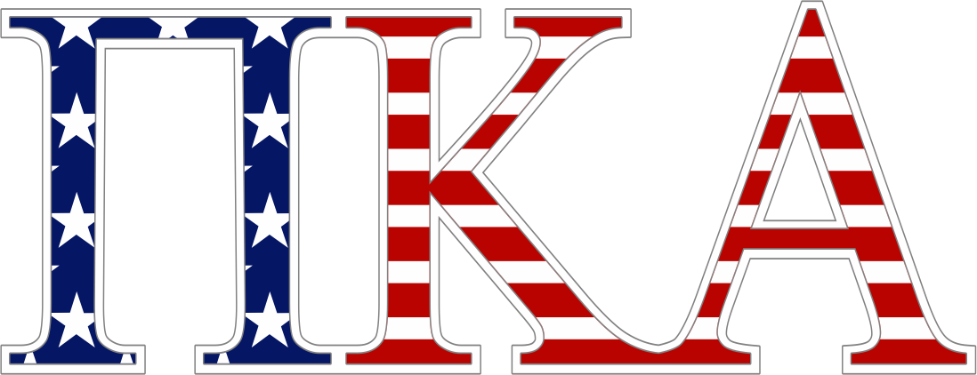 Polo Drift Flag Logo